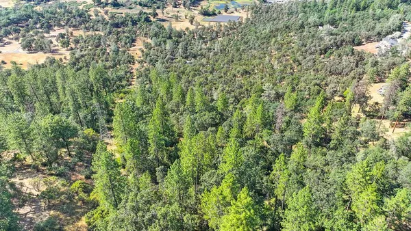 a view of a yard with plants