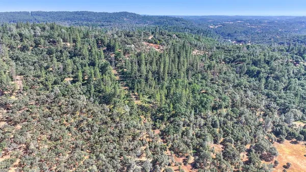 a view of a green field with lots of bushes