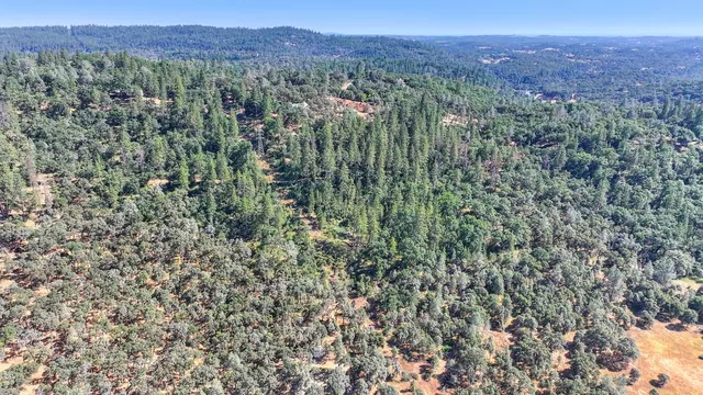a view of a green field with lots of bushes