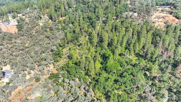 a view of a lush green forest with trees and some houses