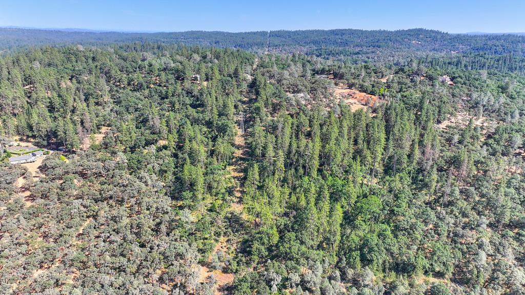 24316 Timber Ridge Drive Auburn, CA 95602 - Photo 24 of 30 a view of a lush green forest with trees and some houses