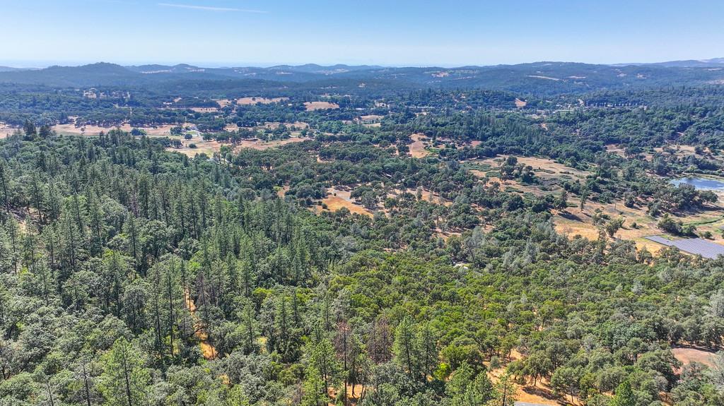 24316 Timber Ridge Drive Auburn, CA 95602 - Photo 28 of 30 an aerial view of residential house and green space