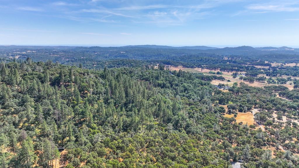 24316 Timber Ridge Drive Auburn, CA 95602 - Photo 30 of 30 an aerial view of residential house and green space