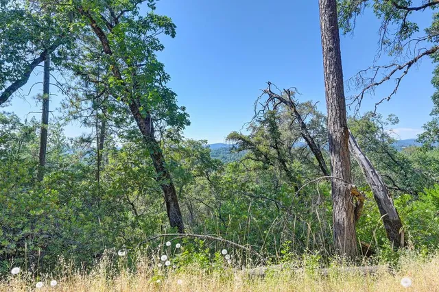 a view of outdoor space and yard