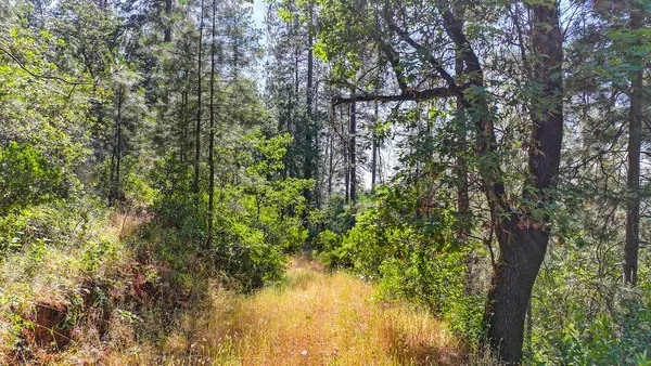 a view of outdoor space and trees