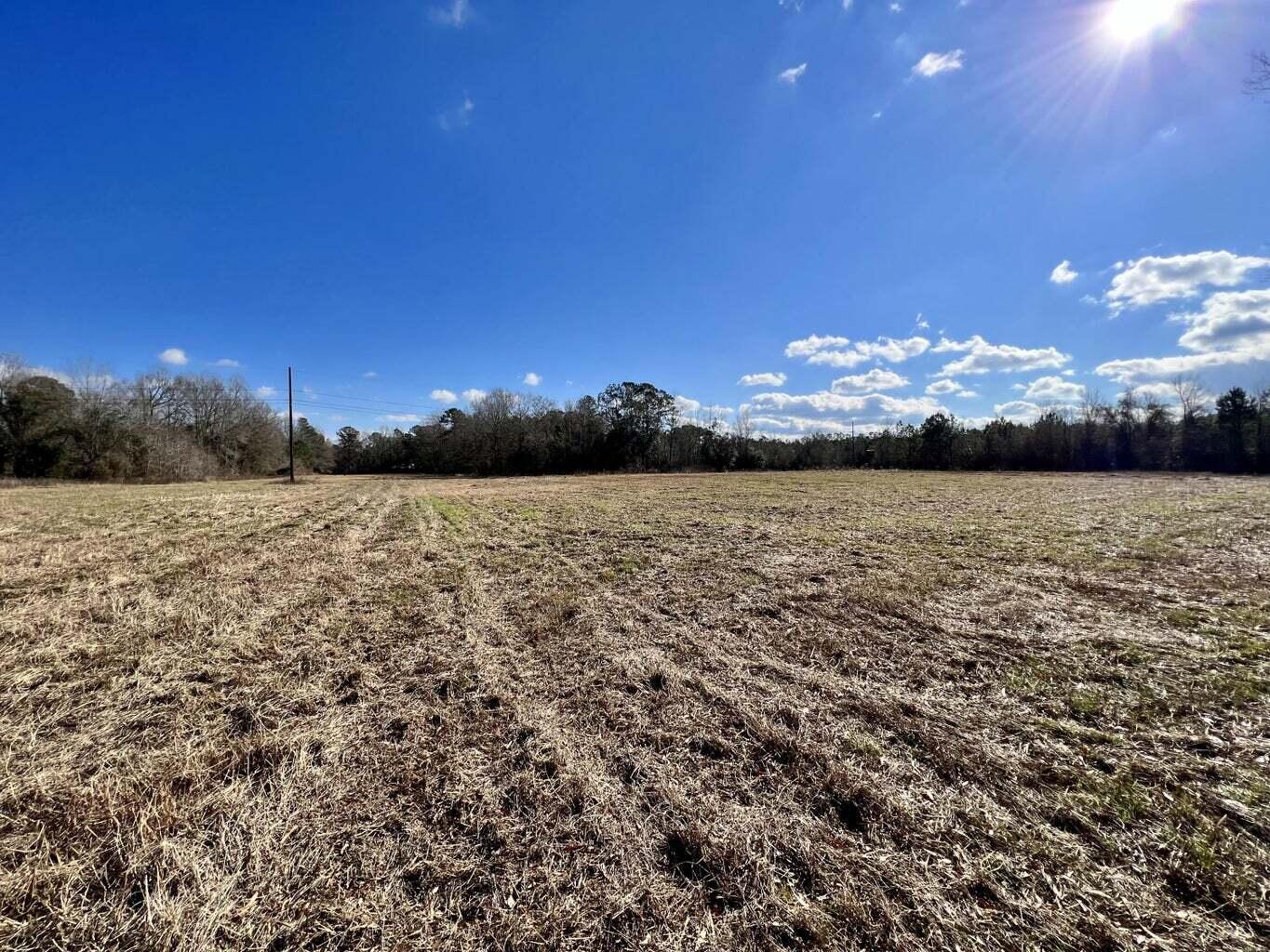 0 Dennis Ridge Road Bonneau, SC 29431 - Photo 5 of 7 f