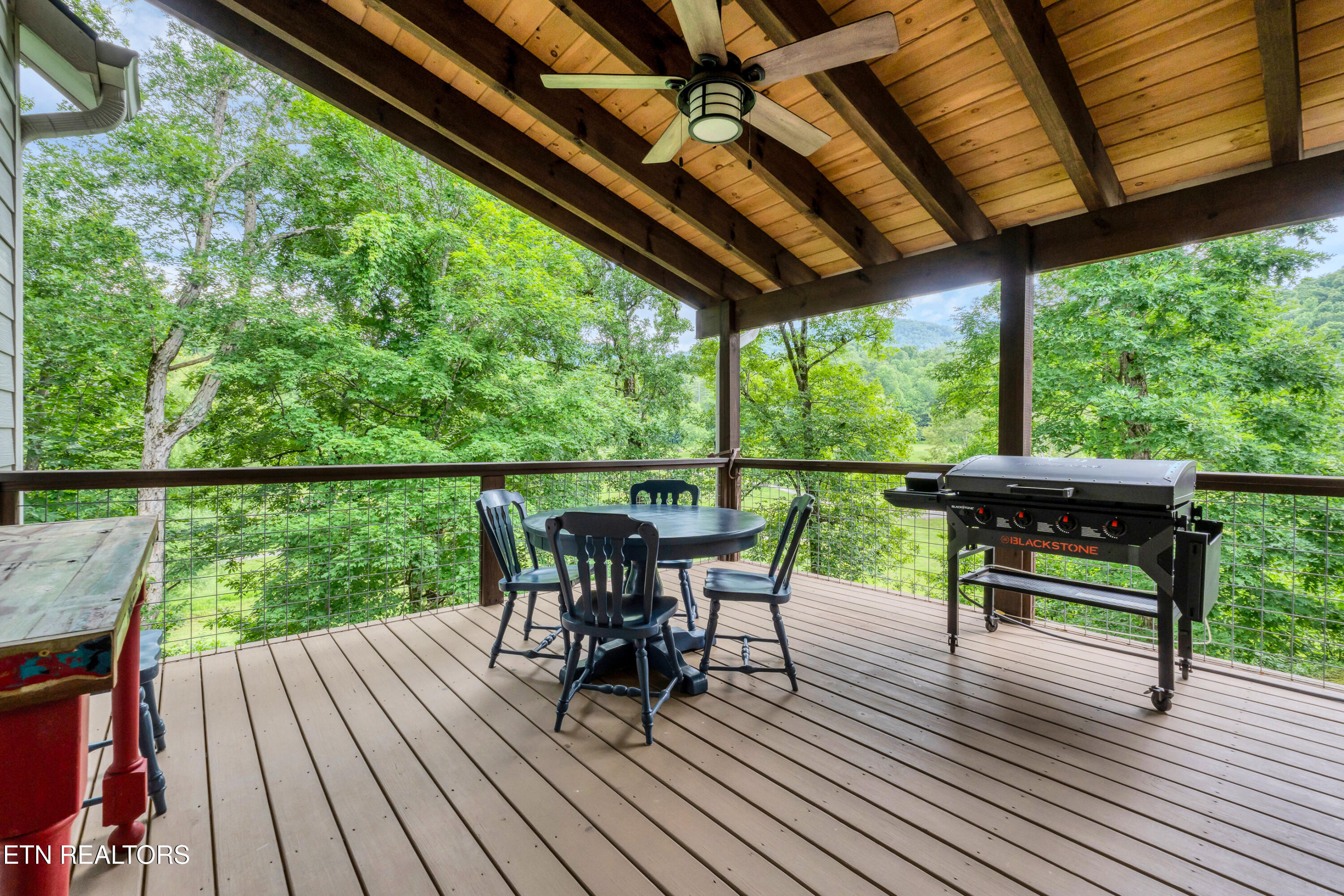 720 Hunters Run Road Townsend, TN 37882 - Photo 24 of 60 DSC07407