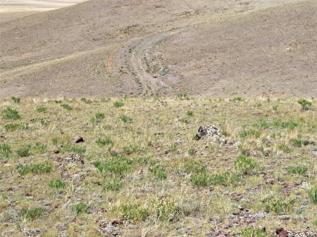 0 Watonga Road Hartsel, CO 80449 - Photo 15 of 20 Gallery Image 15