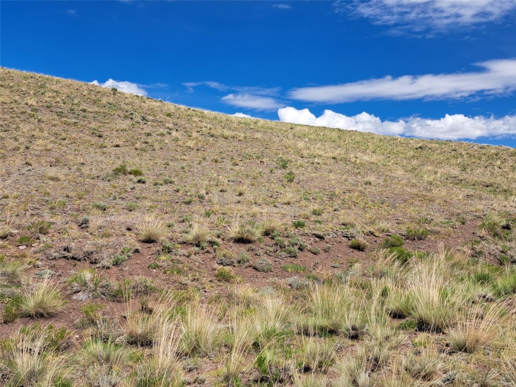 0 Watonga Road Hartsel, CO 80449 - Photo 3 of 20 Gallery Image 3