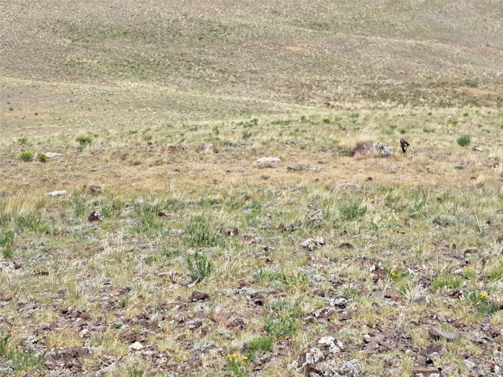 0 Watonga Road Hartsel, CO 80449 - Photo 9 of 20 Gallery Image 9