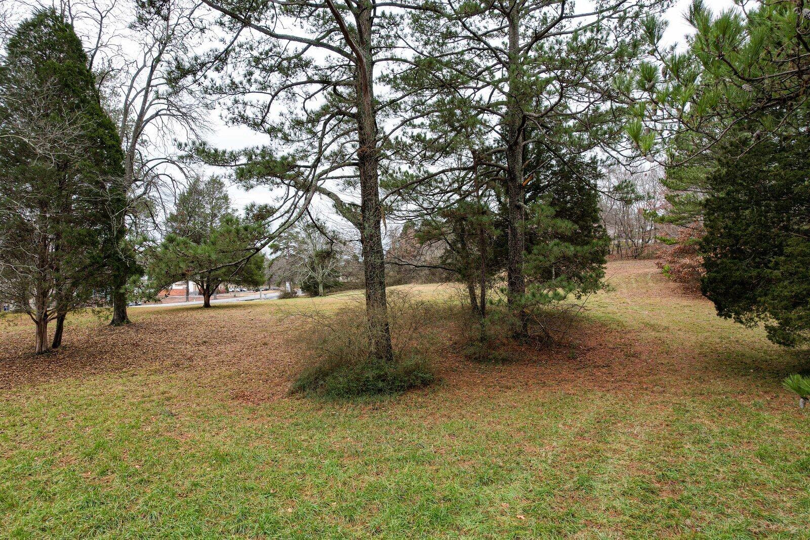 Lot 12 37th Street Northeast Cleveland, TN 37312 - Photo 2 of 14 Old Tasso and Blythe-1