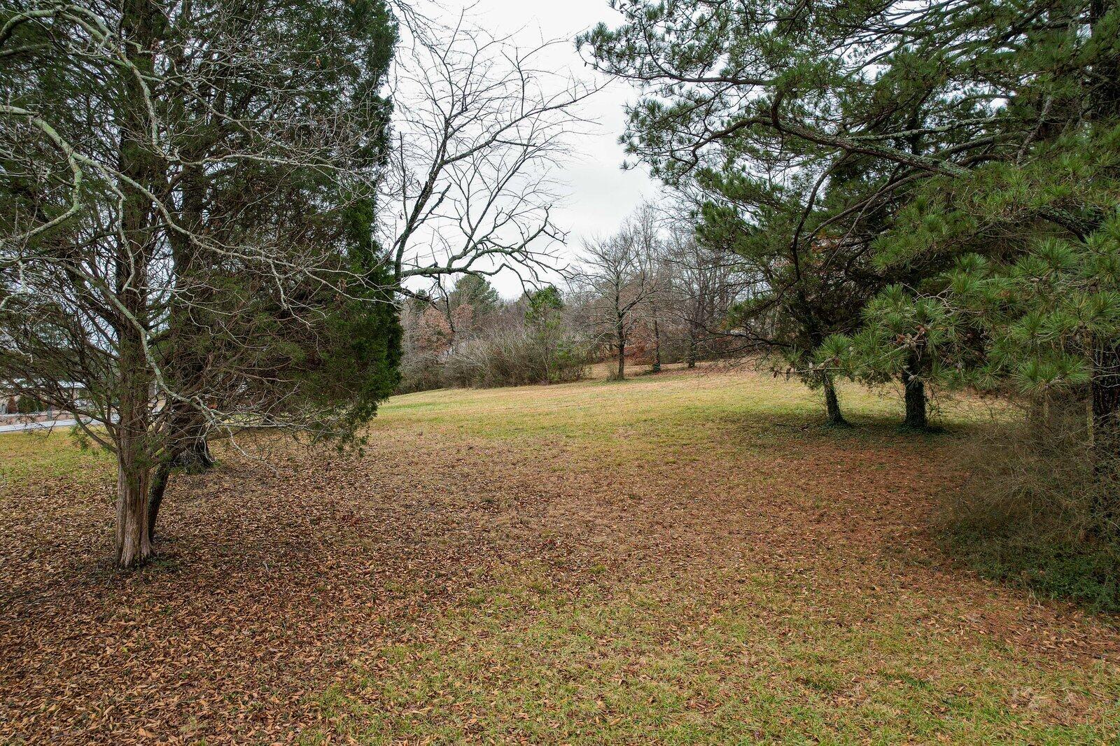 Lot 12 37th Street Northeast Cleveland, TN 37312 - Photo 3 of 14 Old Tasso and Blythe-2