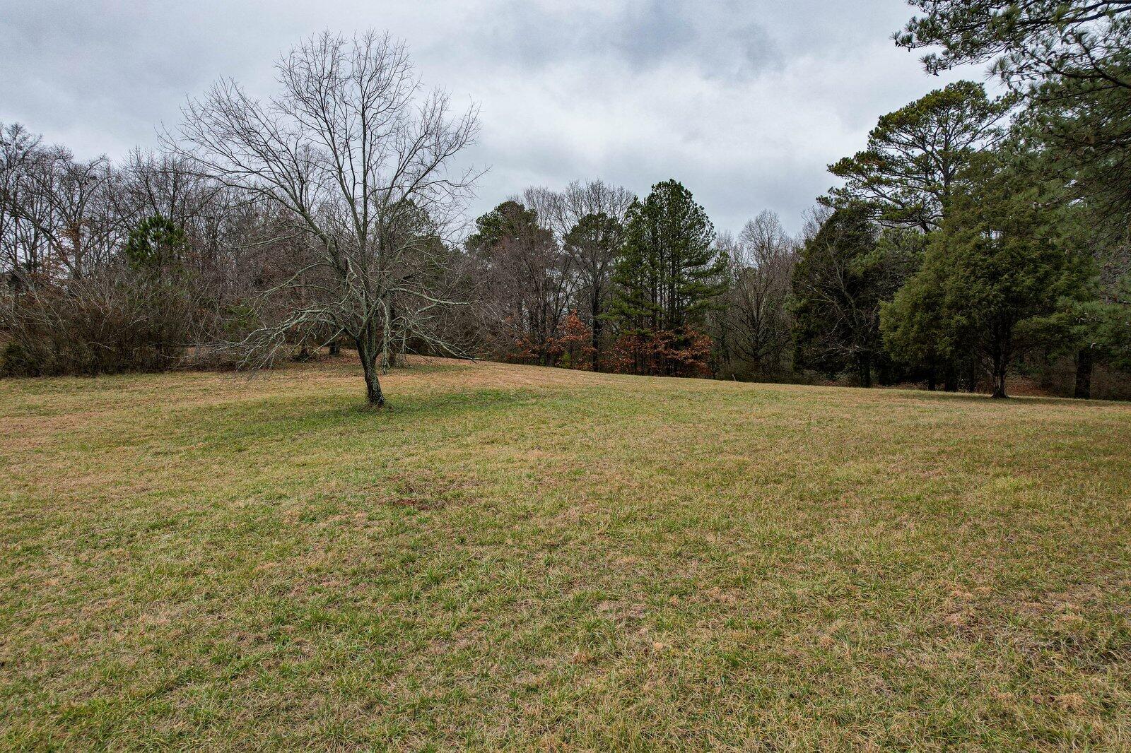 Lot 12 37th Street Northeast Cleveland, TN 37312 - Photo 5 of 14 Old Tasso and Blythe-4