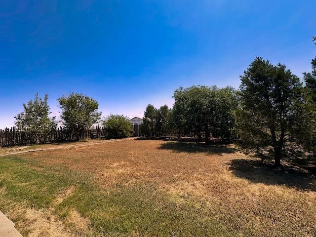 6801 South Blessen Road Amarillo, TX 79119 - Photo 26 of 36 Backyard 2