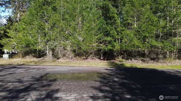 a view of dirt yard with a large tree