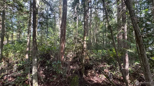 a view of outdoor space and covered with trees