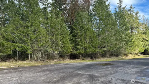 a view of a yard with a trees
