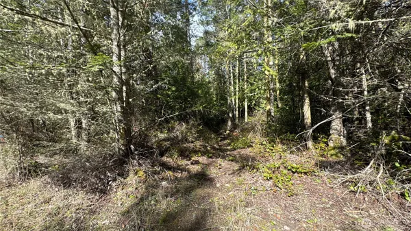 a view of bushes and trees