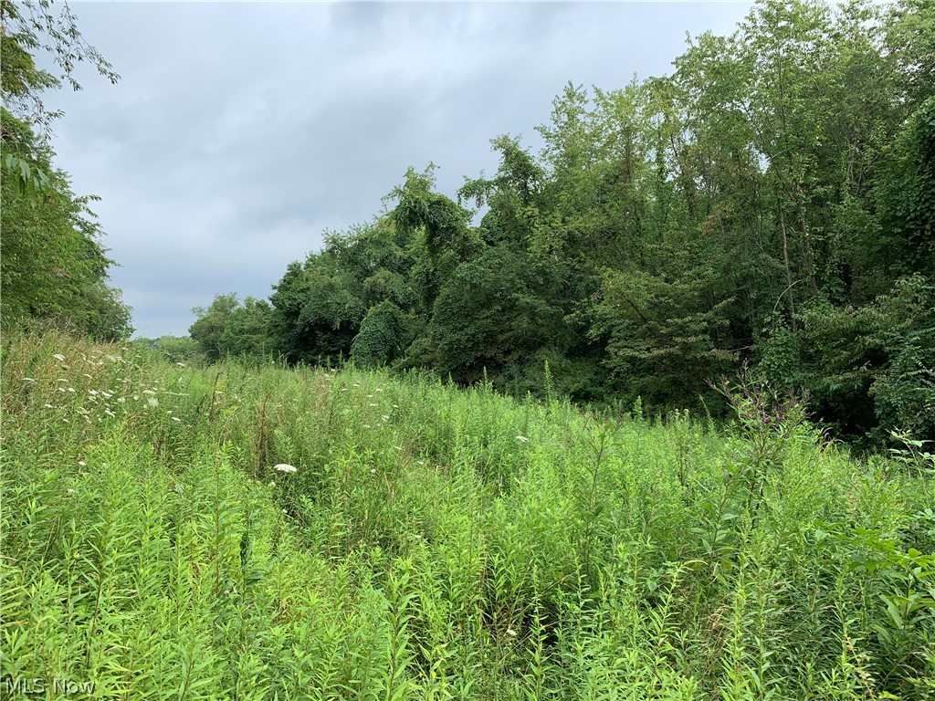 365 Center Road Akron, OH 44319 - Photo 21 of 35 Gallery Image 21