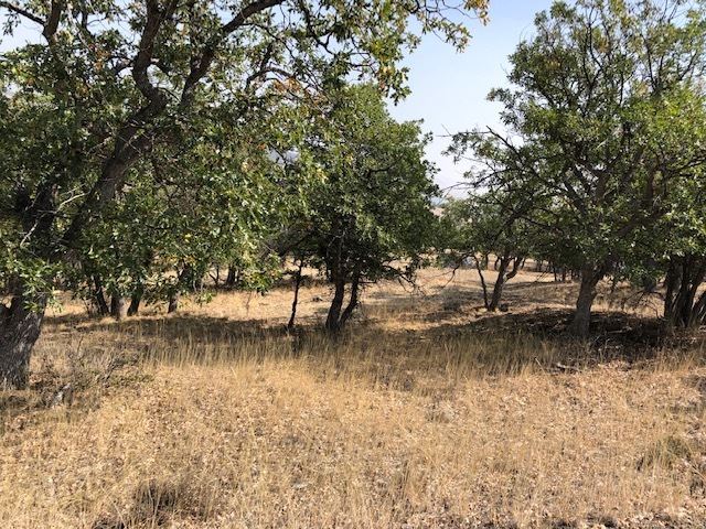 Lot 660 Racoon Court Hornbrook, CA 96044 - Photo 1 of 5 Gallery Image 1