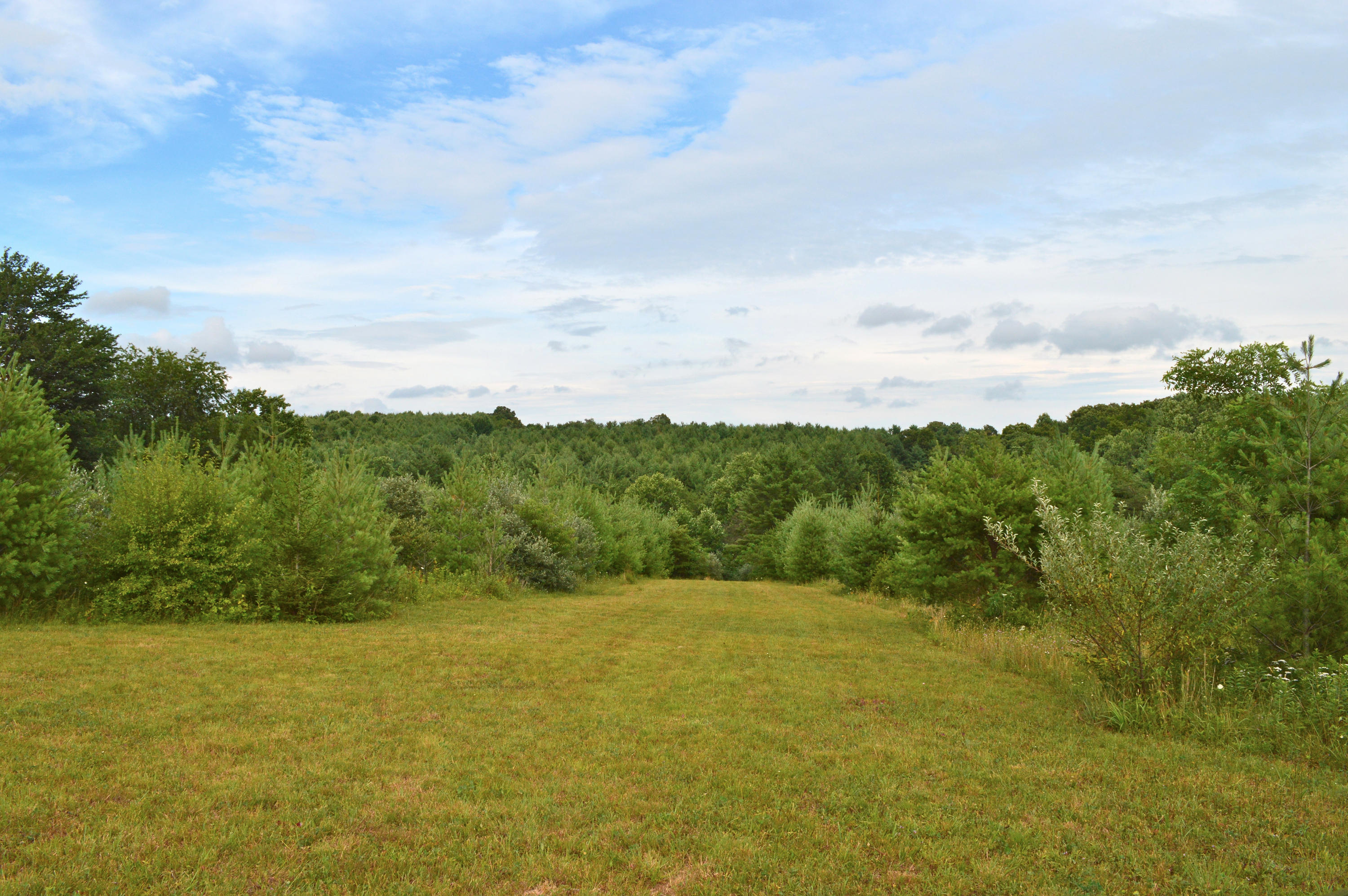 357 Sam Reed Road Northwest Floyd, VA 24091 - Photo 101 of 105 DSC_1326