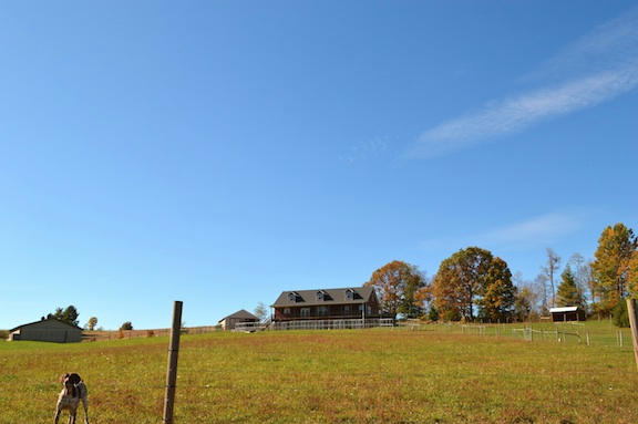 357 Sam Reed Road Northwest Floyd, VA 24091 - Photo 103 of 105 Fall7 2014 rsz
