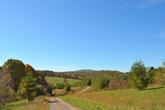 357 Sam Reed Road Northwest Floyd, VA 24091 - Photo 104 of 105 Fall8 2014 rsz