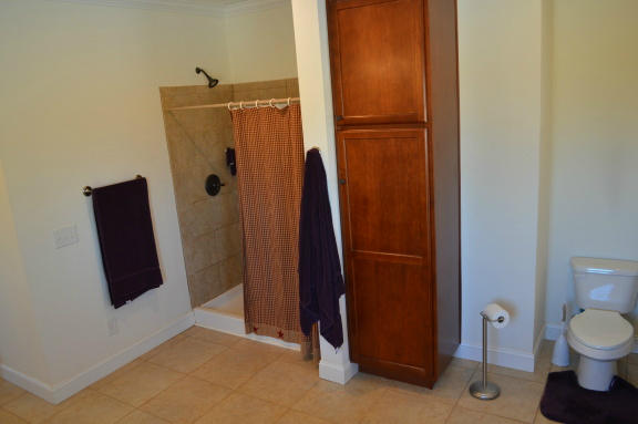 357 Sam Reed Road Northwest Floyd, VA 24091 - Photo 34 of 105 a bathroom with a shower and a toilet