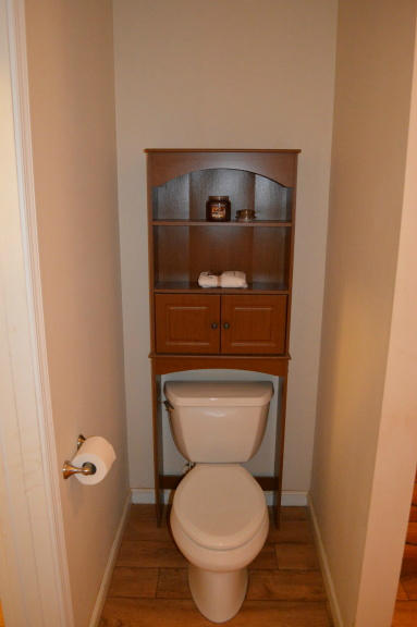 357 Sam Reed Road Northwest Floyd, VA 24091 - Photo 57 of 105 a bathroom with a toilet and a sink