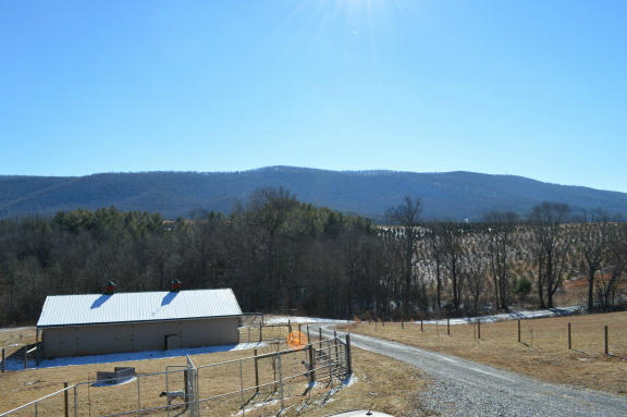 357 Sam Reed Road Northwest Floyd, VA 24091 - Photo 73 of 105 DSC_0518