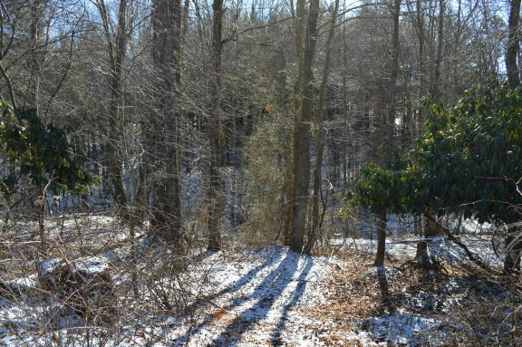 357 Sam Reed Road Northwest Floyd, VA 24091 - Photo 82 of 105 DSC_0536
