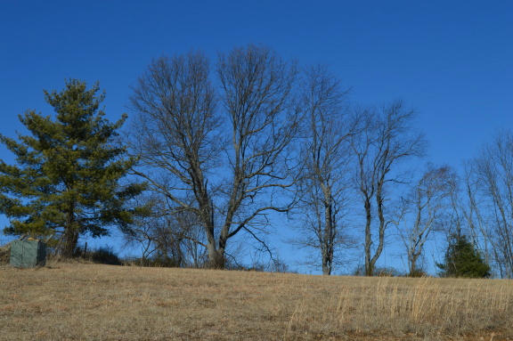 357 Sam Reed Road Northwest Floyd, VA 24091 - Photo 91 of 105 DSC_0564