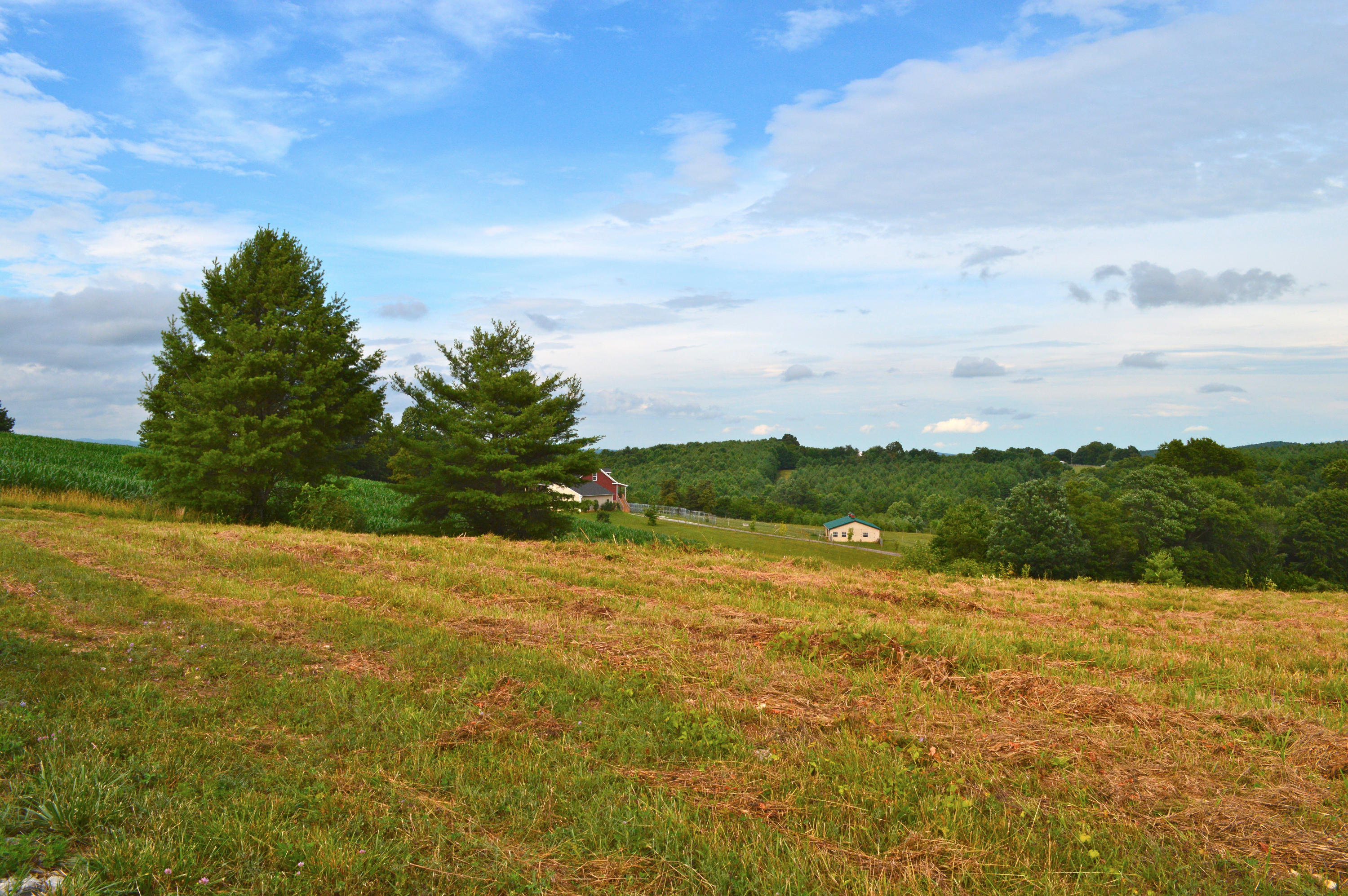 357 Sam Reed Road Northwest Floyd, VA 24091 - Photo 98 of 105 DSC_1322