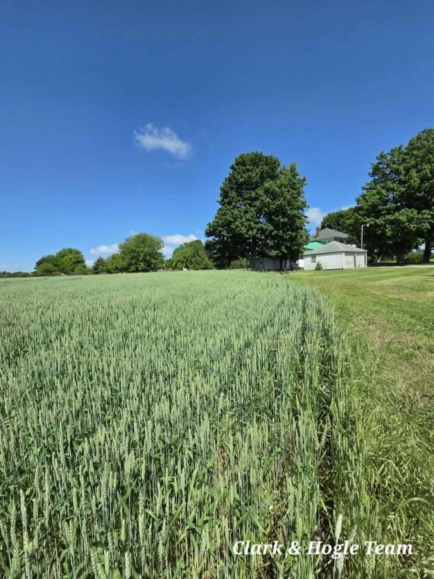 14675 West Hanses Road Westphalia, MI 48894 - Photo 18 of 46 7580e277-f040-41a1-abde-dbe403b941b3