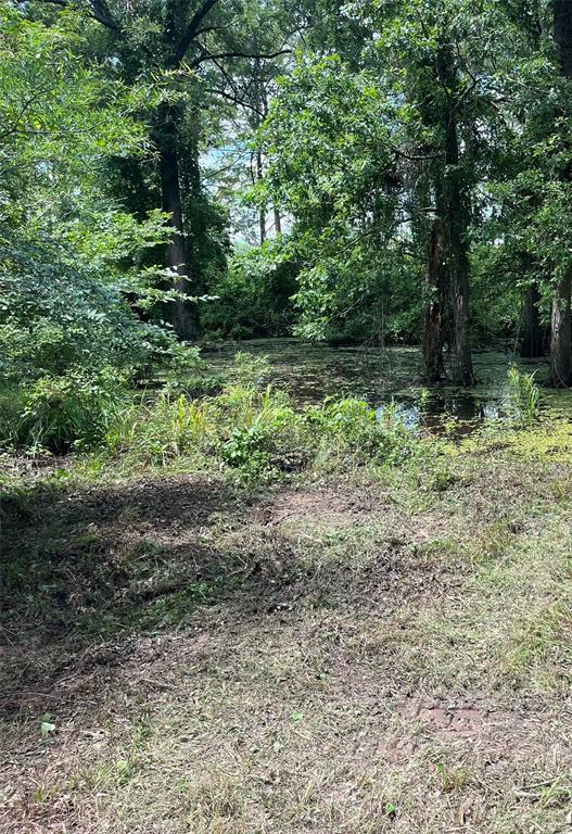 11015 Hereford Road Mooringsport, LA 71060 - Photo 17 of 18 Shoreline View - Owner provided