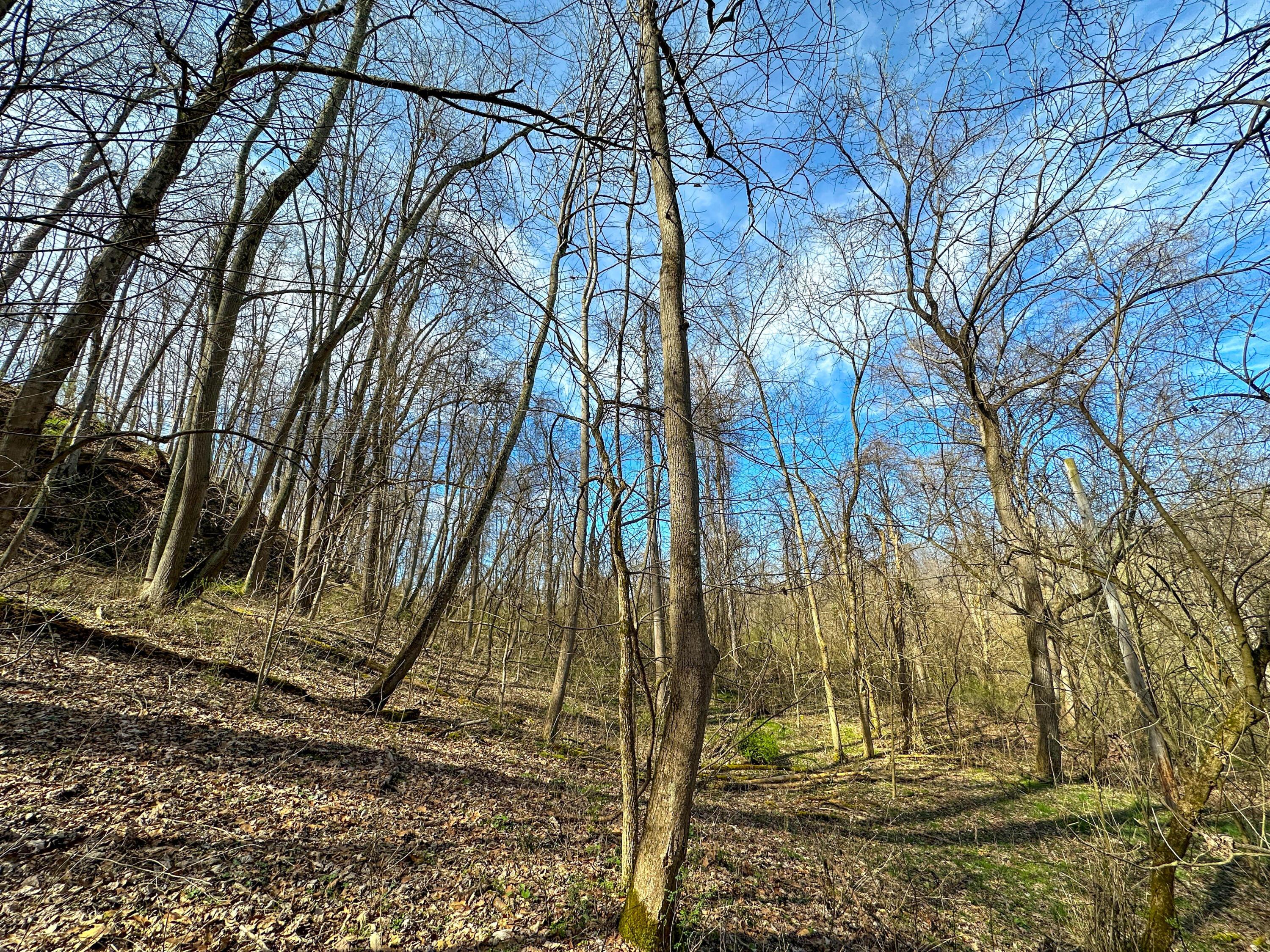 0 Rock Riffle Road Athens, OH 45701 - Photo 23 of 42 22-IMG_2055