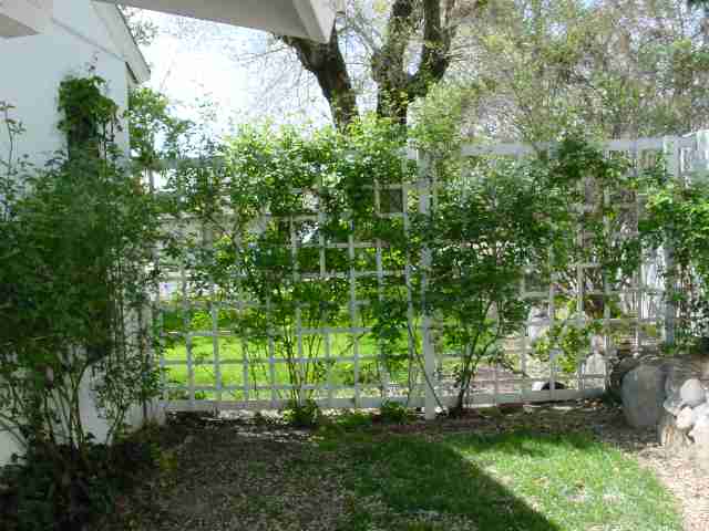 327 Mary Street Reno, NV 89509 - Photo 5 of 5 Photo 5
