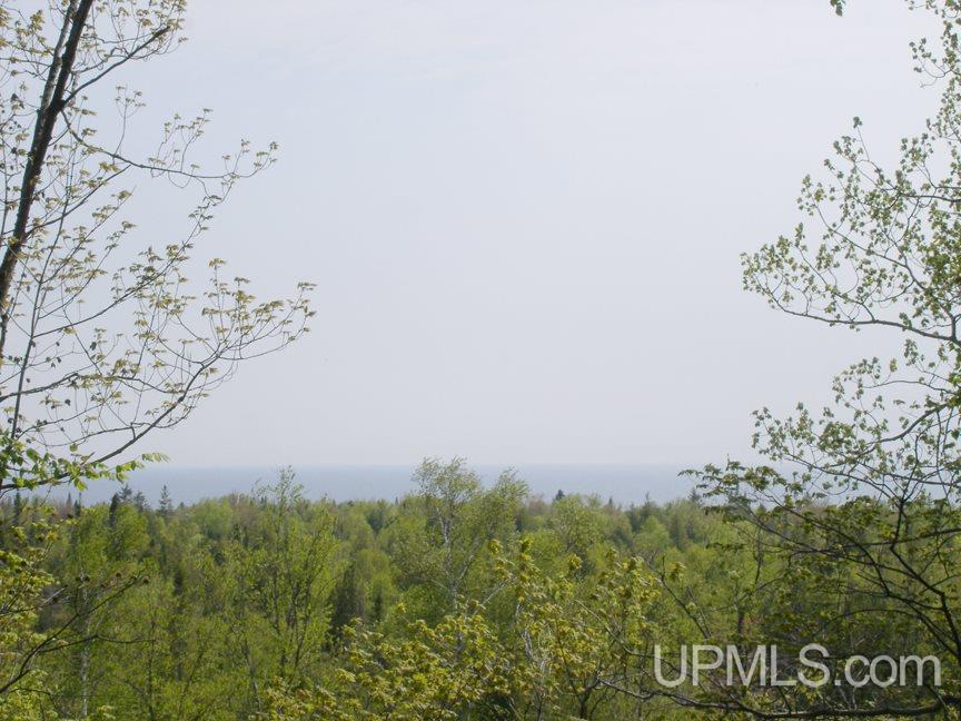 Tbd Northshore Bluffs Road, Unit 3 Manistique, MI 49854 - Photo 10 of 22