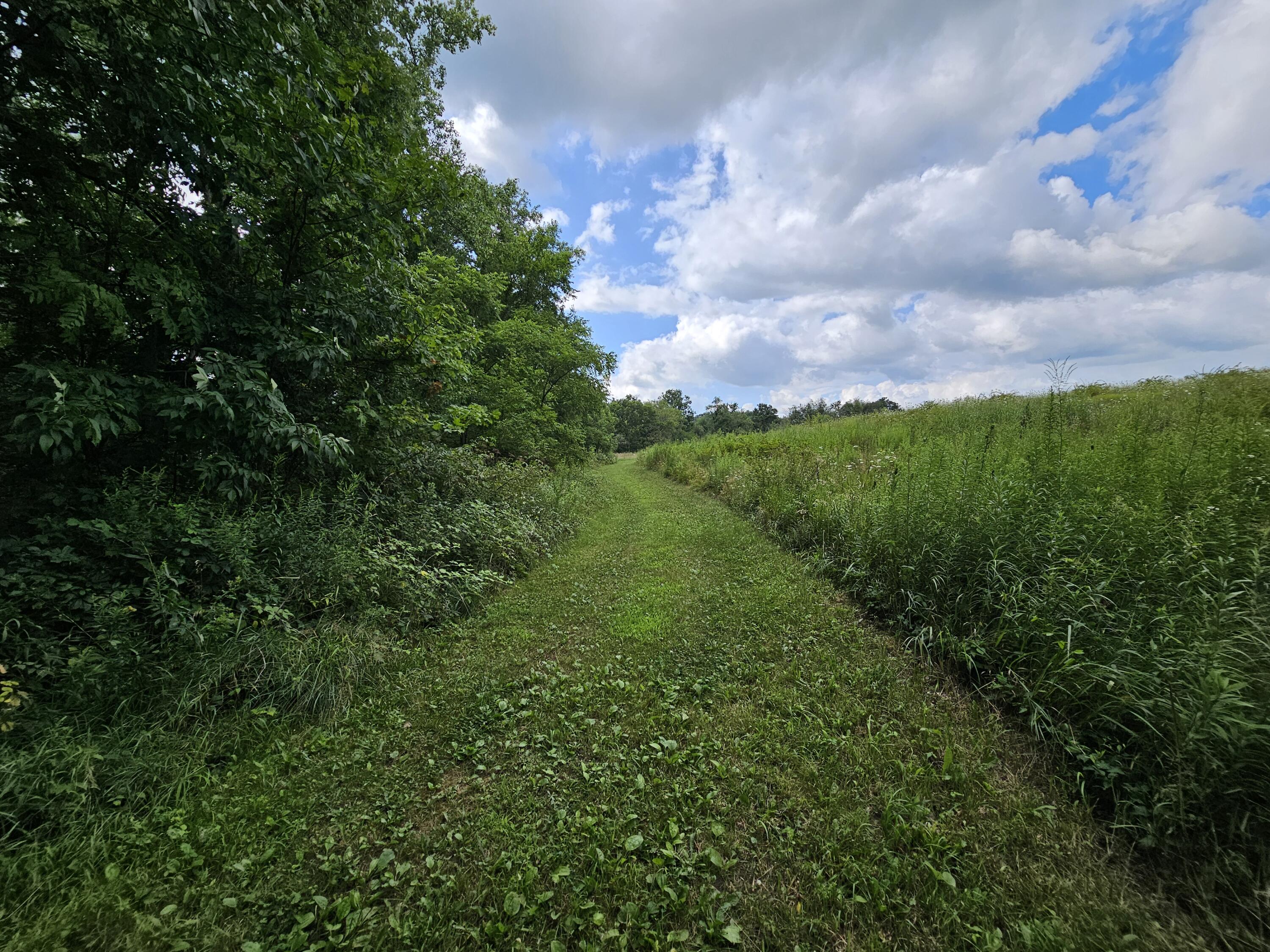 8475 Ross Road Muir, MI 48860 - Photo 13 of 36 Ross Rd