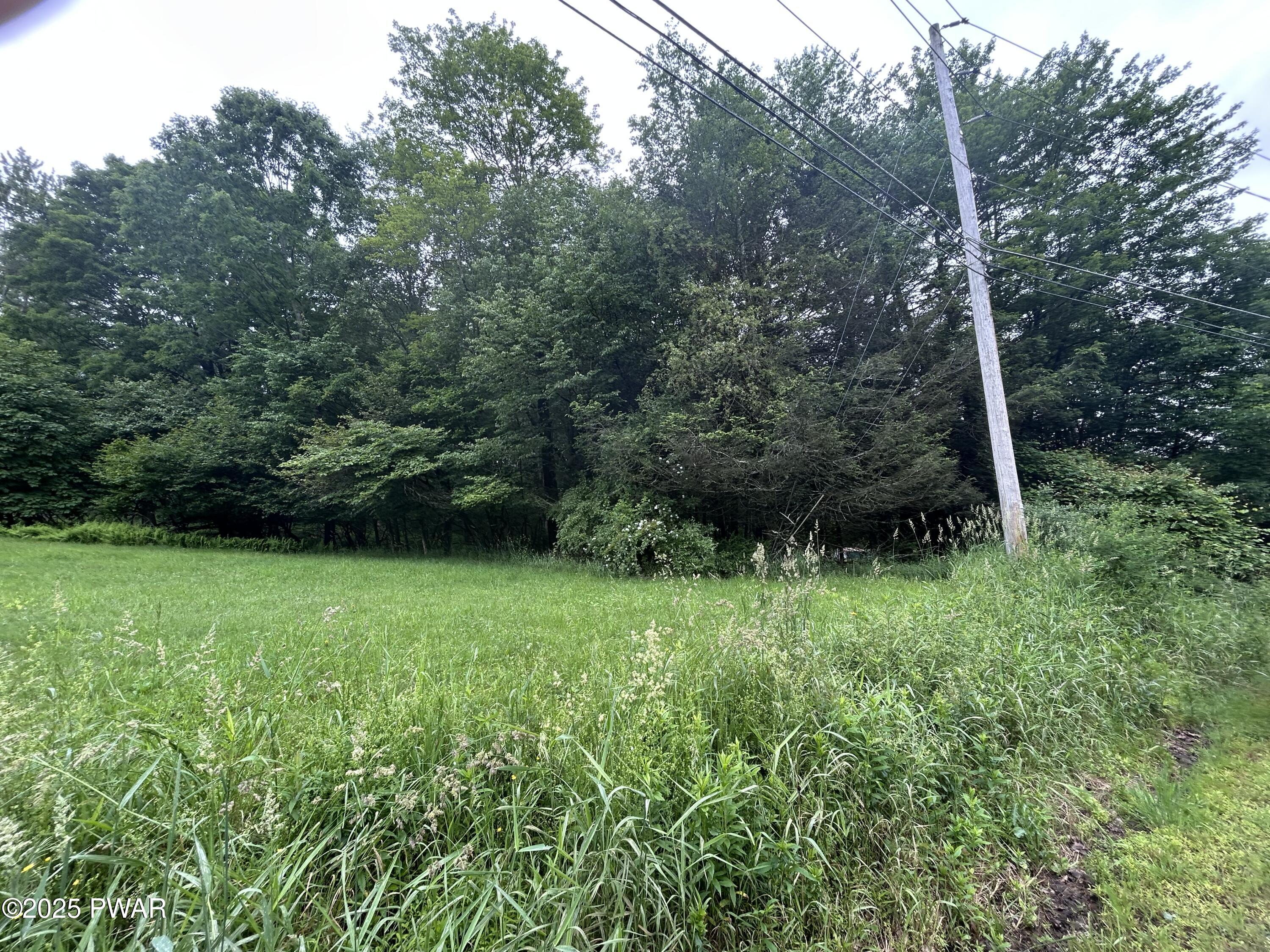 Conklin Hill Road Damascus, PA 18415 - Photo 6 of 7
