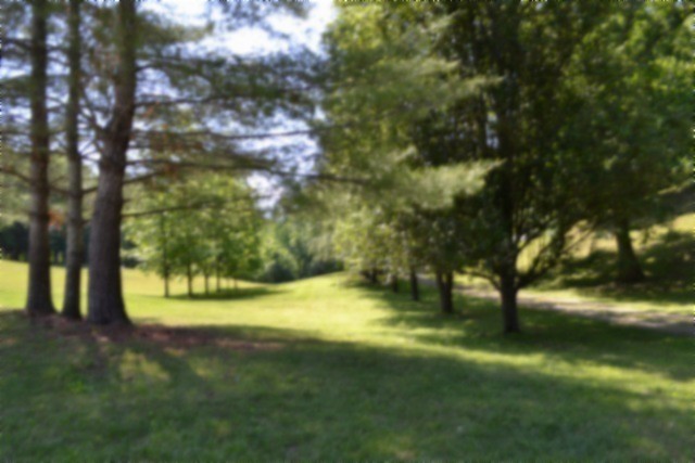 318 Rock Springs Road Celina, TN 38551 - Photo 61 of 87 a view of yard with green space