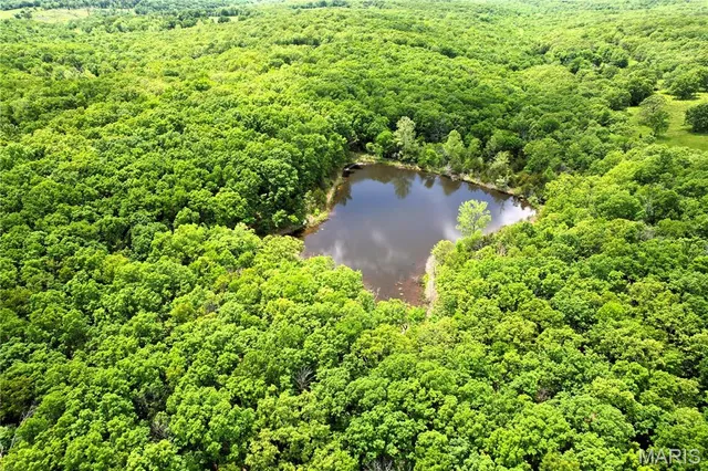 $530,000 | 12725 Highway 17, Crocker, MO 65452