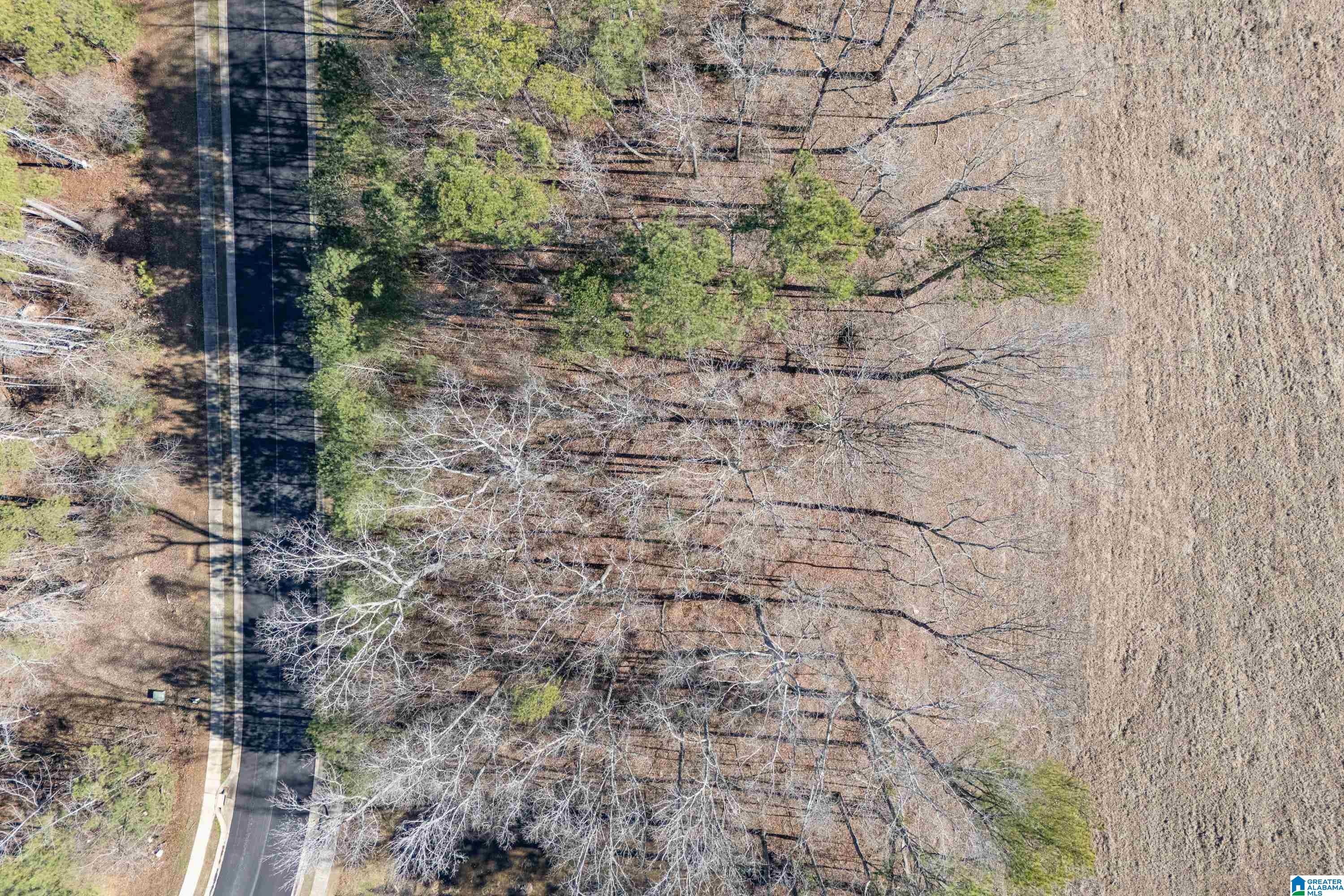 100 Coves Drive Vincent, AL 35178 - Photo 8 of 21