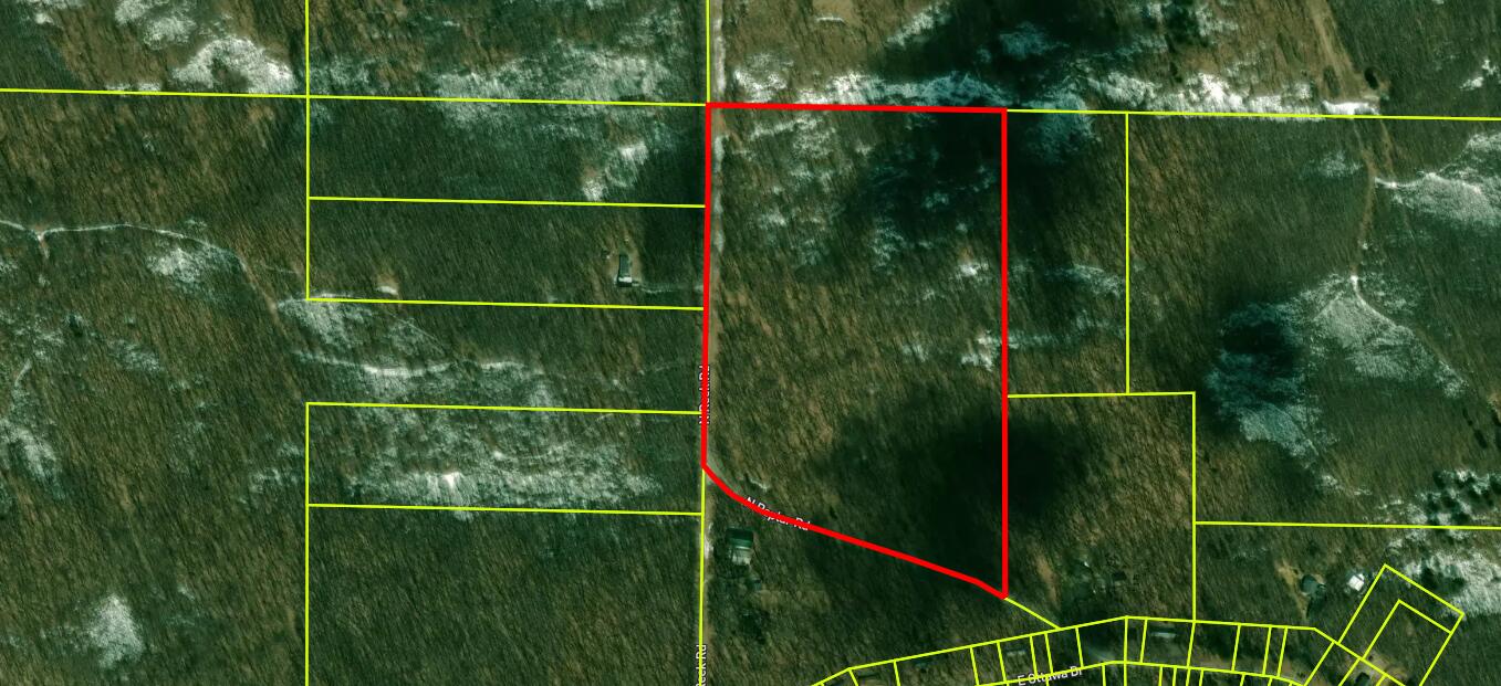 7428 North Poplar Road Free Soil, MI 49411 - Photo 2 of 4 regrid-screenshot (1)