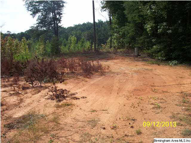 78 Highway 78, Unit 85 Fruithurst, AL 36262 - Photo 2 of 11