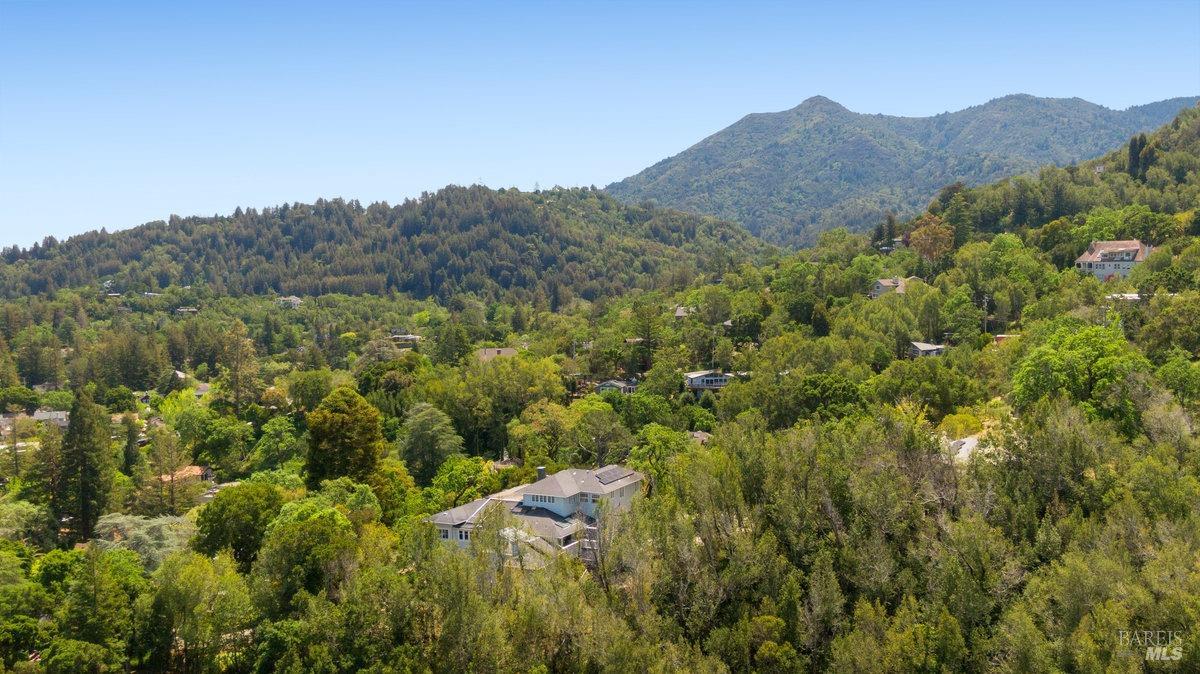 165 Crescent Road San Anselmo, CA 94960 - Photo 44 of 45