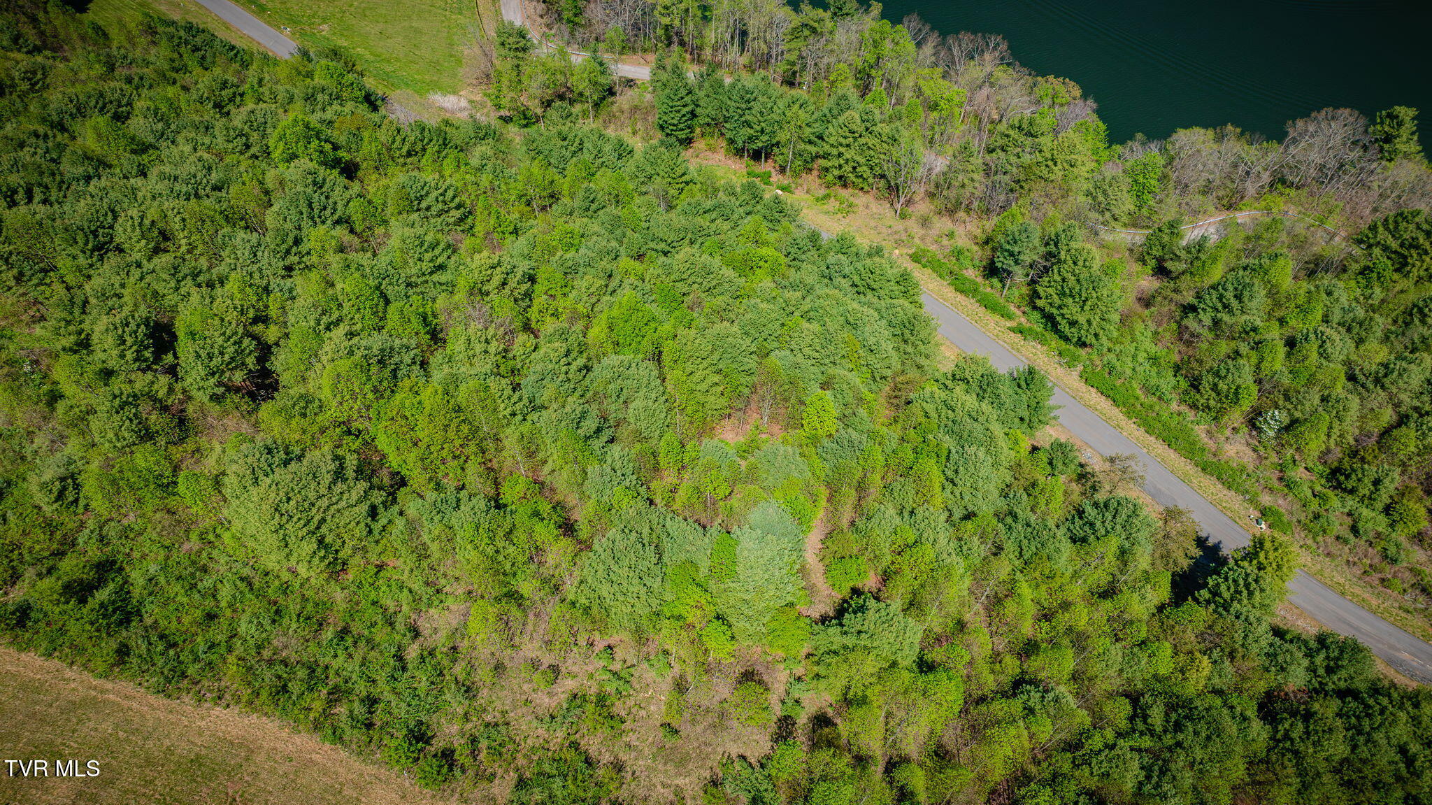 Lot 11 Cowan Town Road, Unit 11 Butler, TN 37640 - Photo 22 of 41 104 (2)