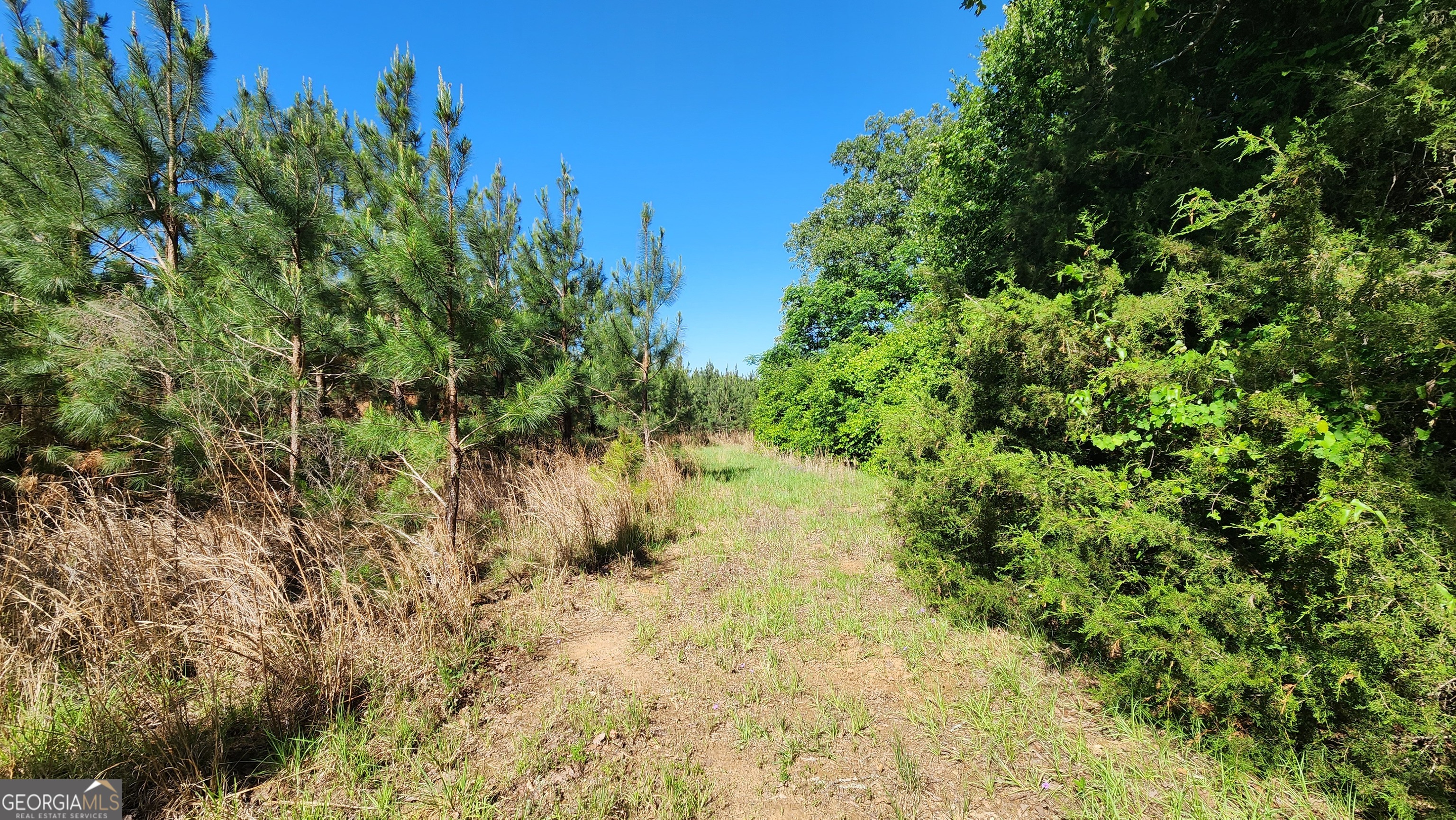 246 Melton Mill Road Dawson, GA 39842 - Photo 63 of 78
