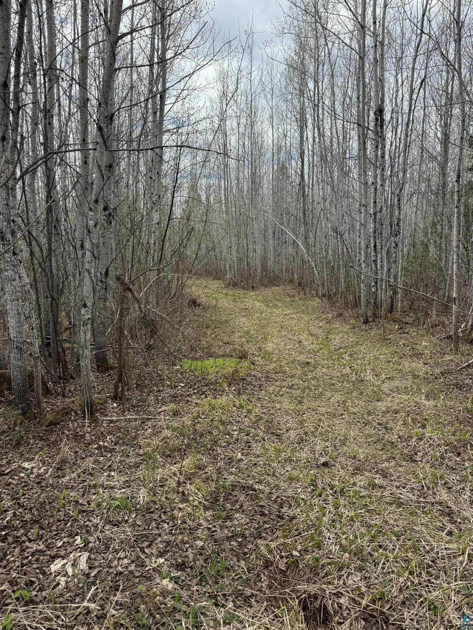 Two Blueberry Hill Road Two Harbors, MN 55616 - Photo 29 of 42