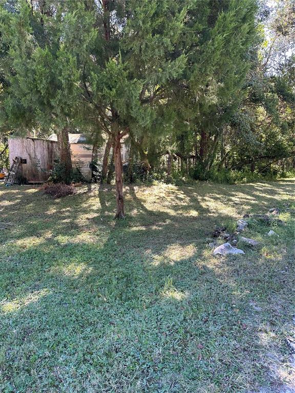 Ocasta Avenue New Port Richey, FL 34654 - Photo 2 of 23